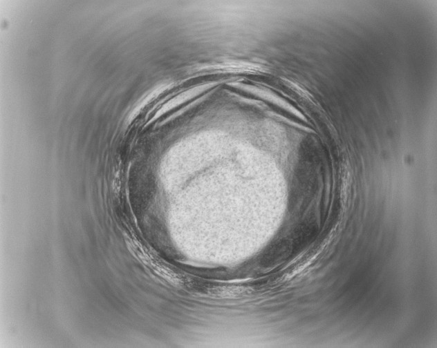 X0000054471163200508270122