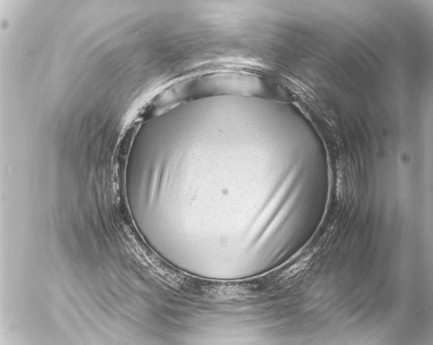 X0000054471164200508270122