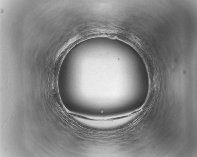 X0000054471165200508270122