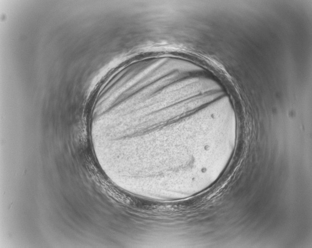 X0000054471167200508270122