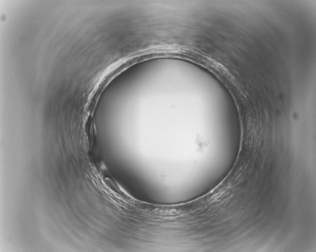 X0000054471168200508270122