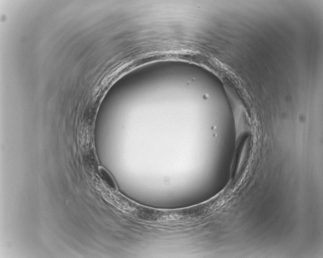 X0000054471169200508270122