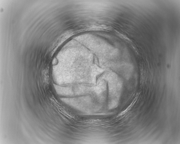 X0000054471170200508270122