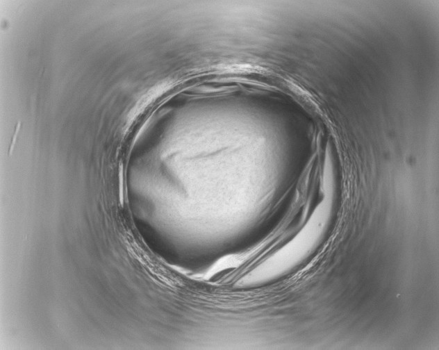 X0000054471171200508270122