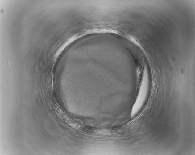 X0000054471173200508270122