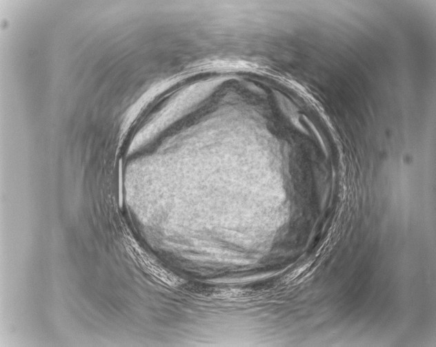 X0000054471175200508270122