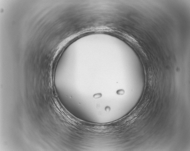 X0000054471176200508270122