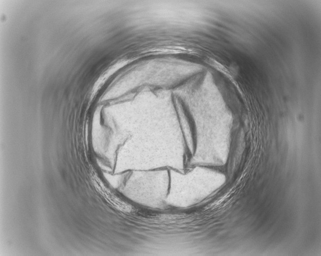 X0000054471179200508270122