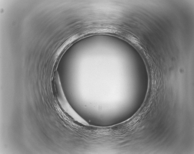 X0000054471181200508270122