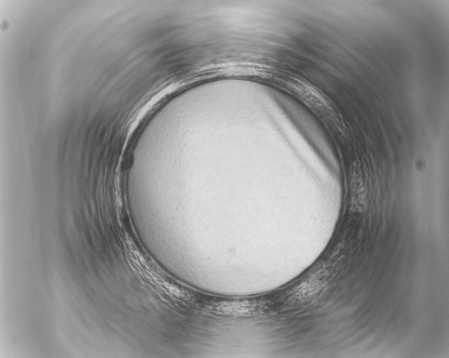 X0000054471182200508270122