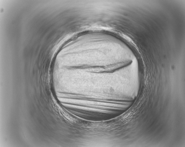 X0000054471183200508270122