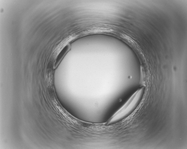 X0000054471185200508270122