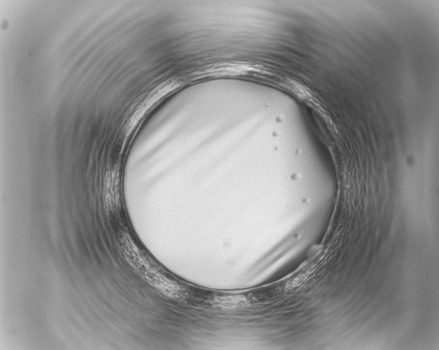 X0000054471186200508270122