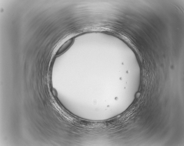 X0000054471187200508270122