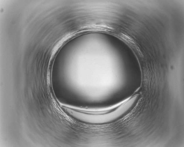 X0000054471188200508270122