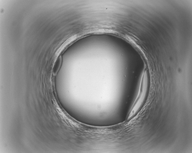 X0000054471189200508270122