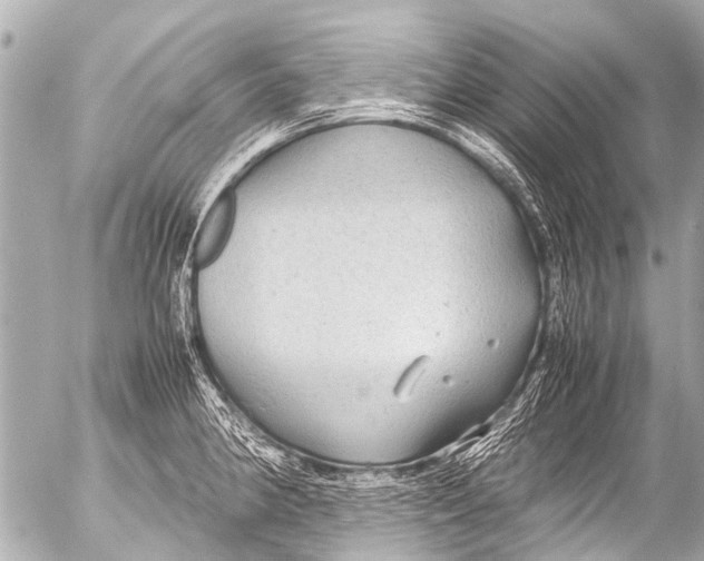 X0000054471190200508270122