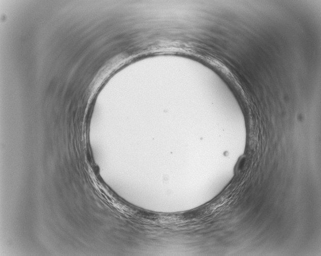 X0000054471191200508270122