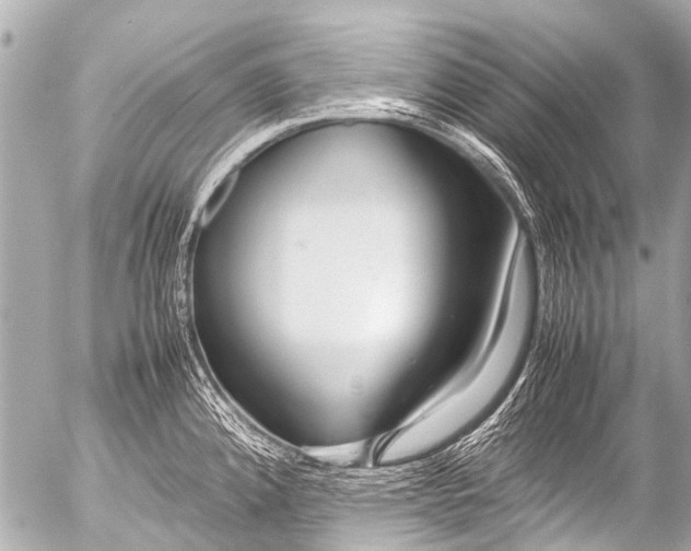 X0000054471192200508270121