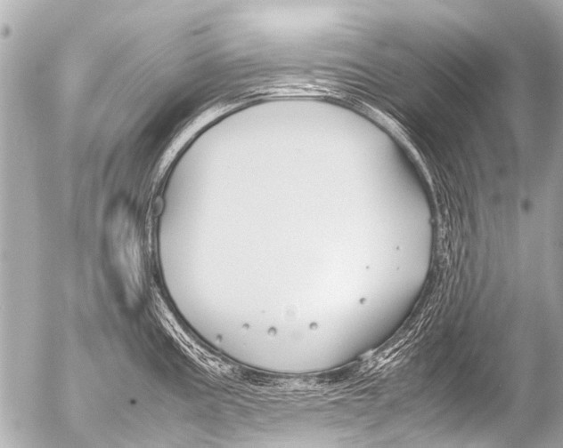 X0000054471195200508270121