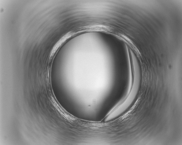 X0000054471196200508270121