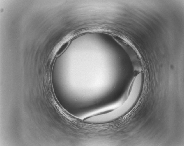 X0000054471197200508270121