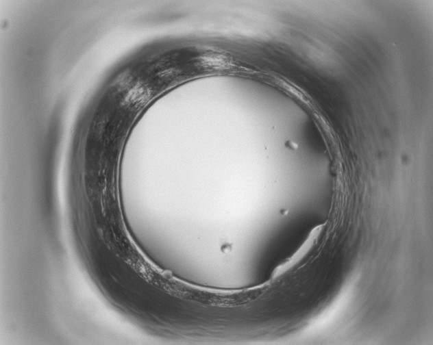 X0000054471199200508270121