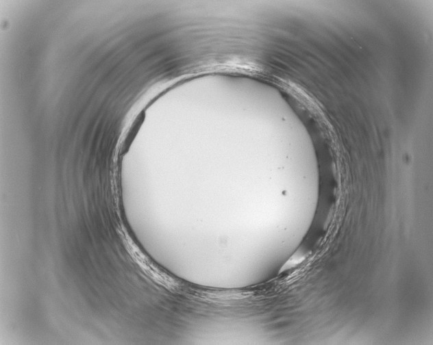 X0000054471200200508270121