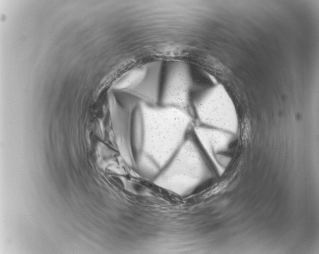 X0000054471202200508270121