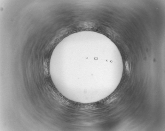 X0000054471203200508270121