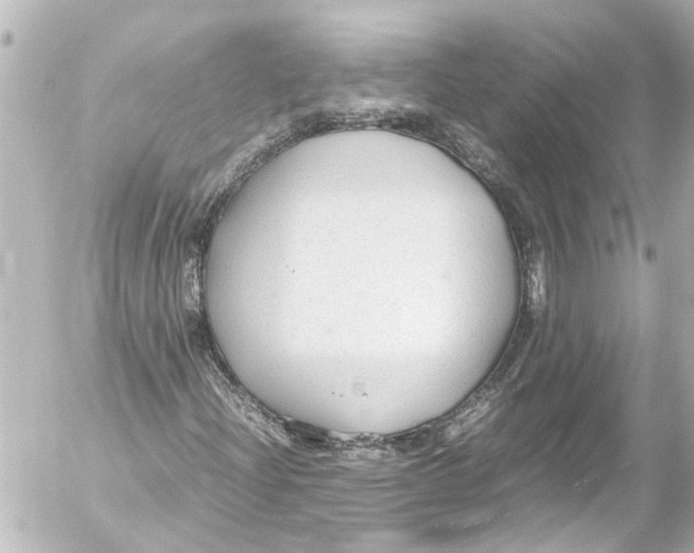 X0000054471204200508270121