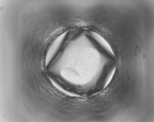 X0000054471205200508270121