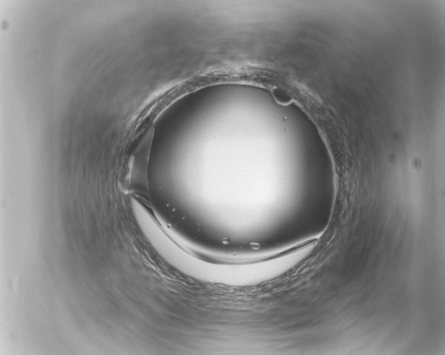 X0000054471206200508270121