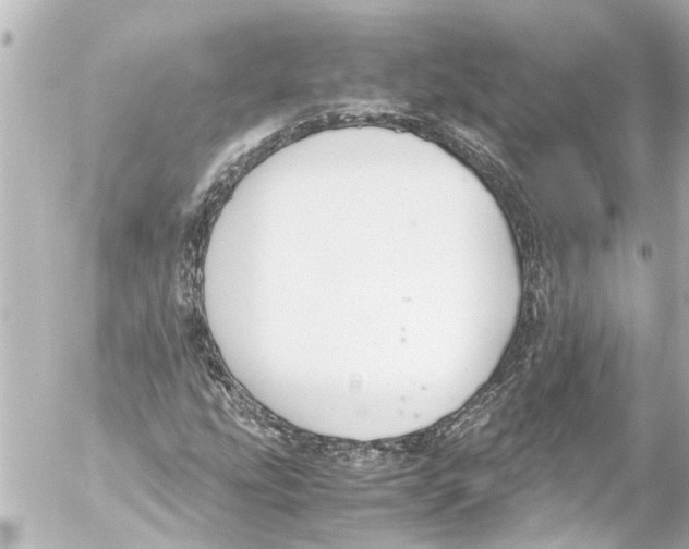 X0000054471207200508270121