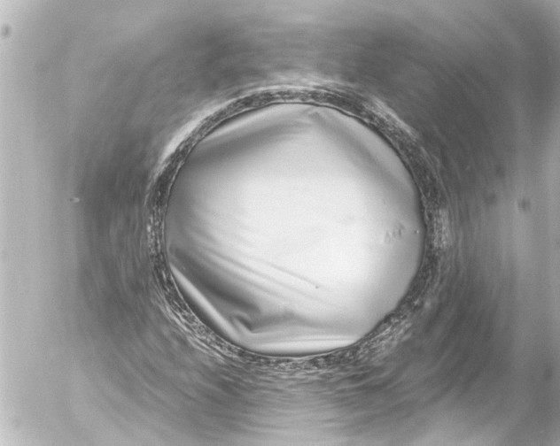 X0000054471208200508270121