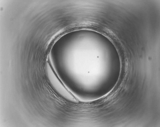 X0000054471210200508270121