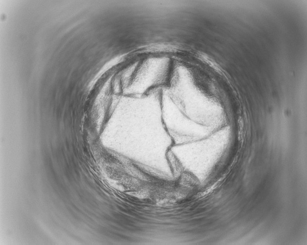 X0000054471213200508270121