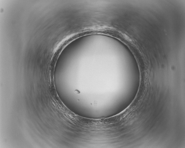 X0000054471214200508270121