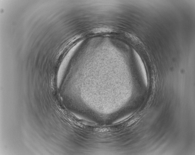 X0000054471217200508270121