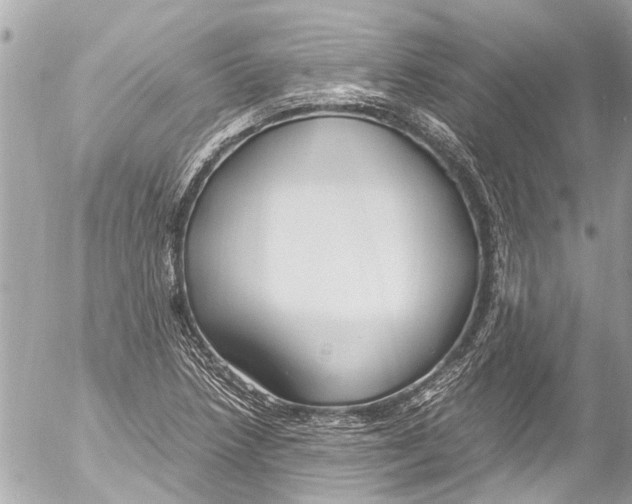 X0000054471218200508270121