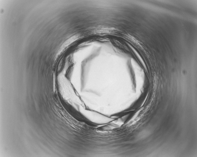 X0000054471219200508270121