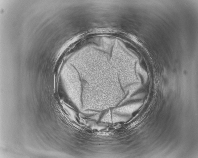 X0000054471221200508270121