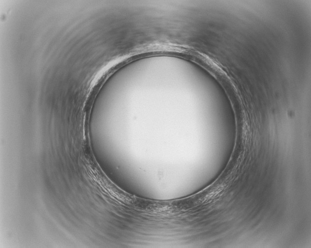 X0000054471222200508270121