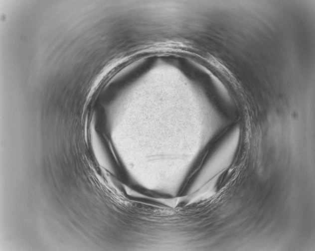 X0000054471224200508270121