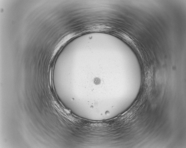 X0000054471227200508270121