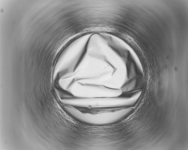 X0000054471228200508270121