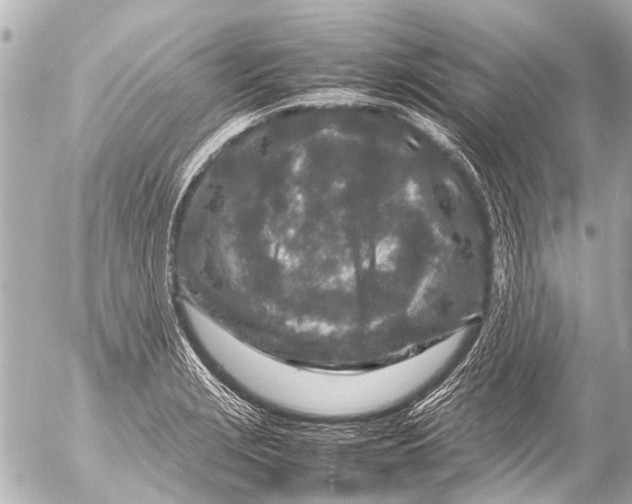 X0000054471229200508270121