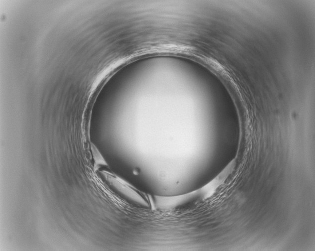 X0000054471230200508270121