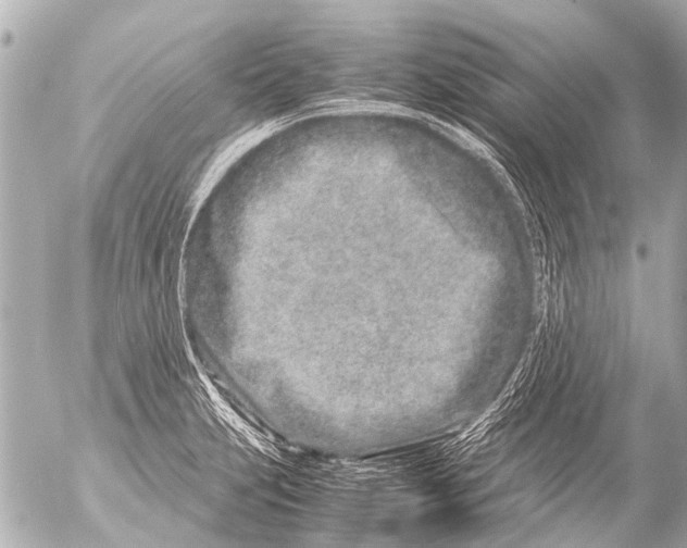 X0000054471231200508270121