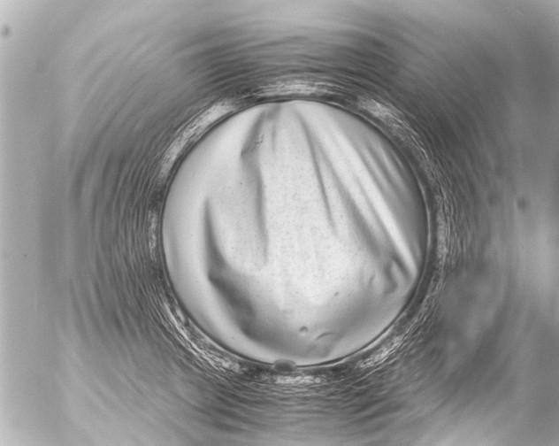 X0000054471233200508270121